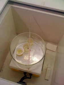 Fig: 2 Beakers clustered together in the water bath
